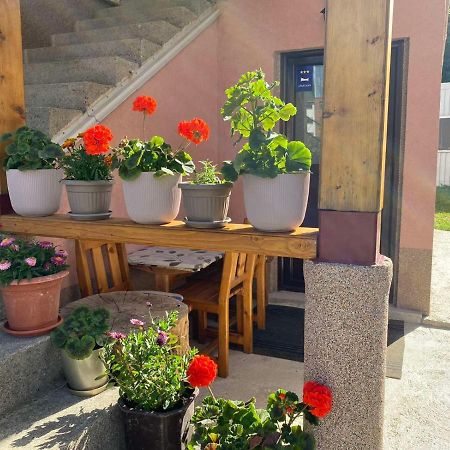Ferienwohnung Apartman Kaljevic Žabljak Exterior foto