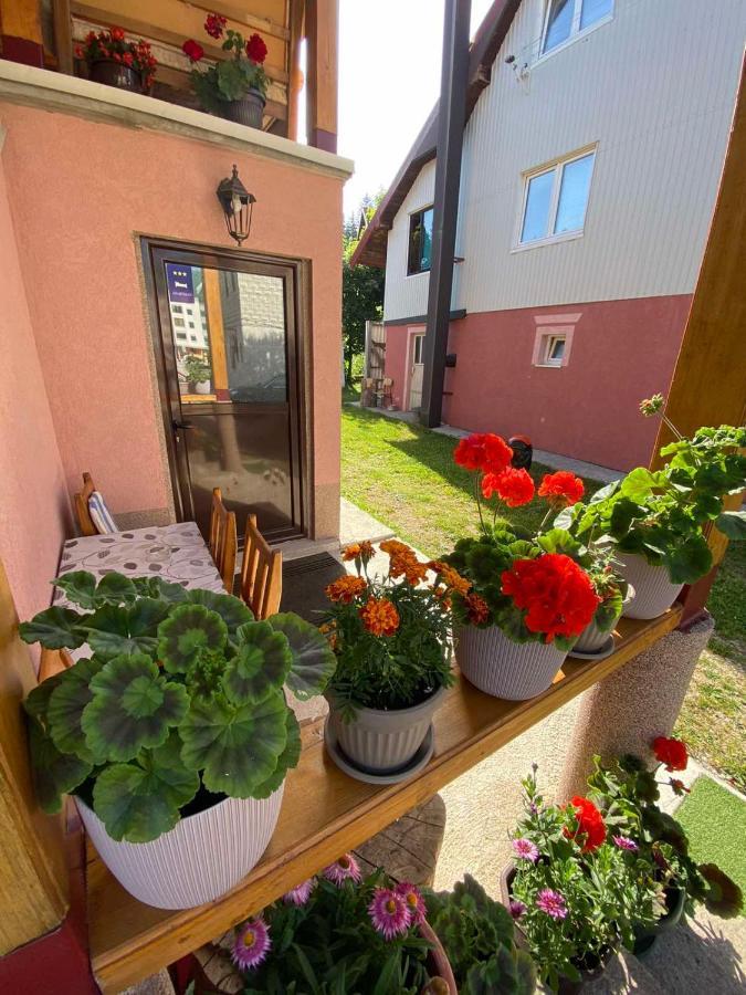 Ferienwohnung Apartman Kaljevic Žabljak Exterior foto